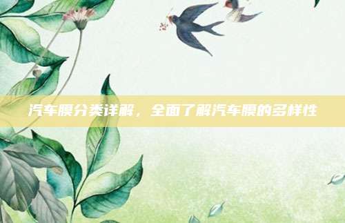 汽车膜分类详解,全面了解汽车膜的多样性