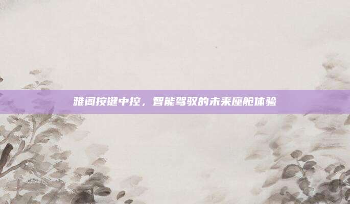 雅阁按键中控,智能驾驭的未来座舱体验