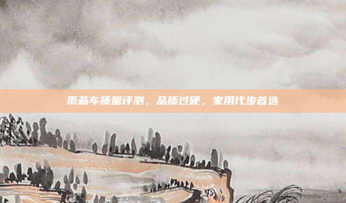 雨燕车质量评测,品质过硬,家用代步首选