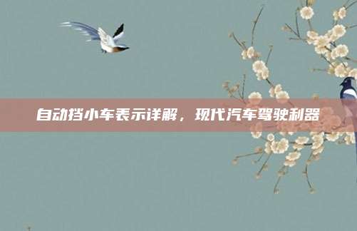 自动挡小车表示详解,现代汽车驾驶利器