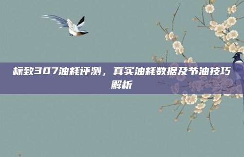 标致307油耗评测,真实油耗数据及节油技巧解析