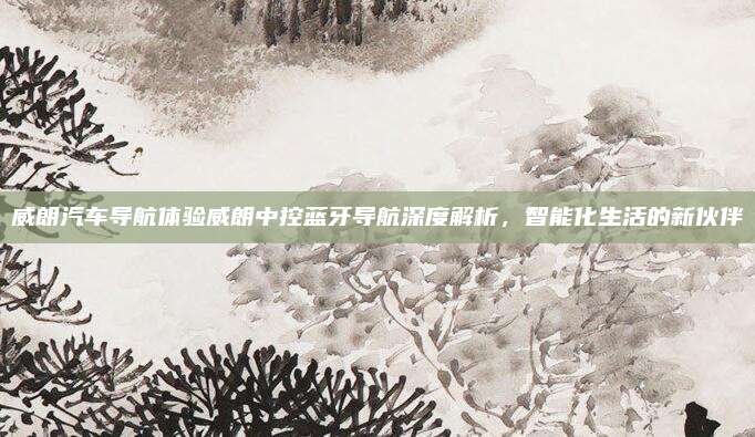 威朗汽车导航体验威朗中控蓝牙导航深度解析，智能化生活的新伙伴