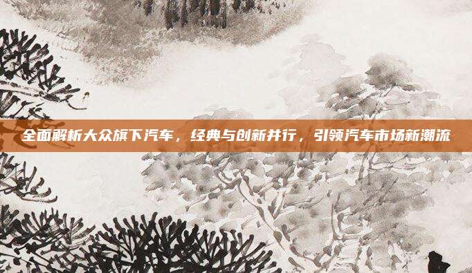 全面解析大众旗下汽车,经典与创新并行,引领汽车市场新潮流