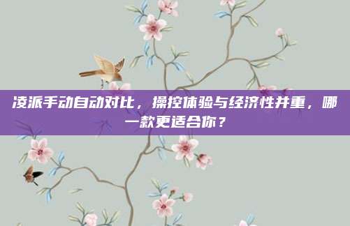 凌派手动自动对比,操控体验与经济性并重,哪一款更适合你?