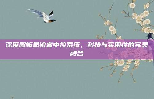 深度解析思铂睿中控系统,科技与实用性的完美融合