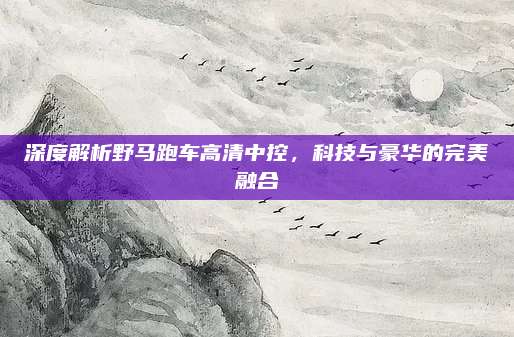 深度解析野马跑车高清中控,科技与豪华的完美融合
