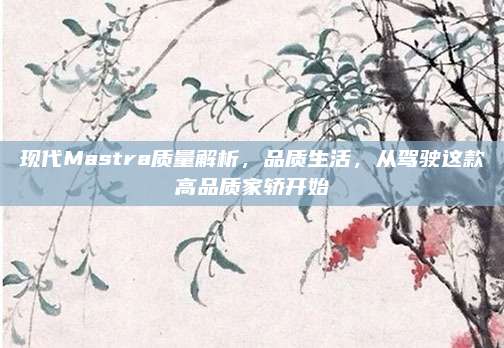 现代Mastra质量解析,品质生活,从驾驶这款高品质家轿开始