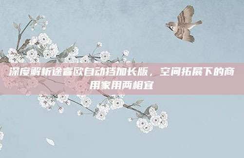深度解析途睿欧自动挡加长版,空间拓展下的商用家用两相宜