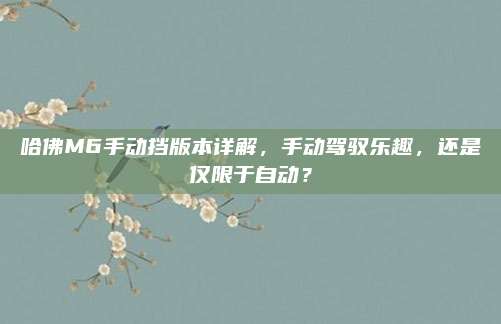 哈佛M6手动挡版本详解,手动驾驭乐趣,还是仅限于自动?
