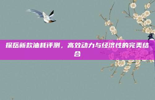 探岳新款油耗评测,高效动力与经济性的完美结合