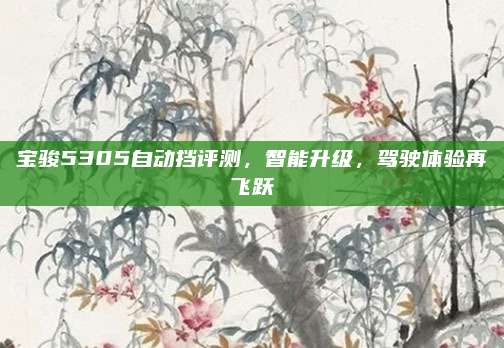 宝骏5305自动挡评测,智能升级,驾驶体验再飞跃