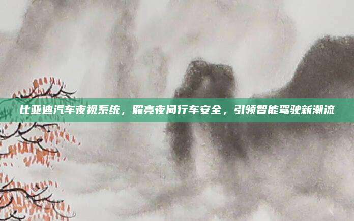 比亚迪汽车夜视系统,照亮夜间行车安全,引领智能驾驶新潮流