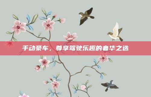 手动豪车,尊享驾驶乐趣的奢华之选