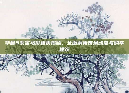 华晨5系宝马价格表揭晓,全面解析市场动态与购车建议