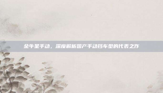 金牛星手动,深度解析国产手动挡车型的代表之作