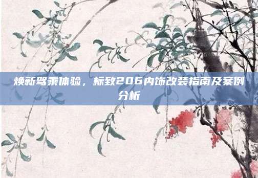 焕新驾乘体验,标致206内饰改装指南及案例分析