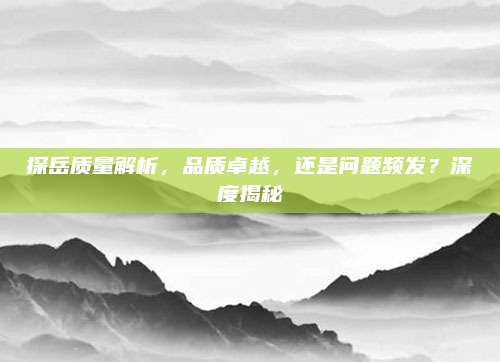 探岳质量解析,品质卓越,还是问题频发?深度揭秘