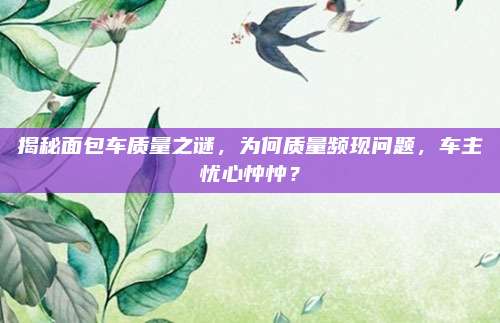 揭秘面包车质量之谜,为何质量频现问题,车主忧心忡忡?