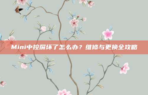 Mini中控屏坏了怎么办?维修与更换全攻略