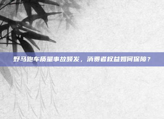 野马跑车质量事故频发,消费者权益如何保障?