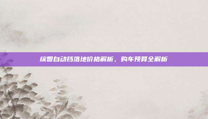 缤智自动挡落地价格解析,购车预算全解析