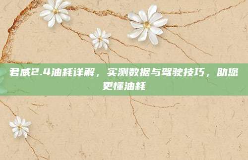 君威2.4油耗详解,实测数据与驾驶技巧,助您更懂油耗