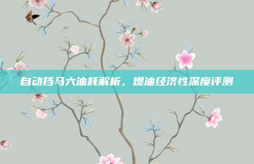 自动挡马六油耗解析,燃油经济性深度评测