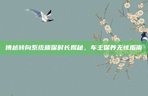 博越转向系统质保时长揭秘,车主保养无忧指南