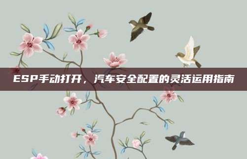ESP手动打开,汽车安全配置的灵活运用指南