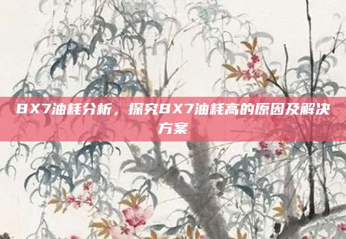 BX7油耗分析,探究BX7油耗高的原因及解决方案