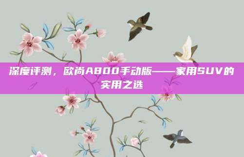 深度评测,欧尚A800手动版——家用SUV的实用之选