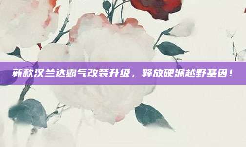 新款汉兰达霸气改装升级,释放硬派越野基因!