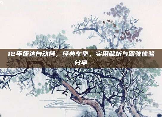 12年捷达自动挡,经典车型,实用解析与驾驶体验分享
