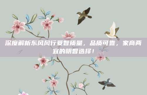深度解析东风风行菱智质量,品质可靠,家商两宜的明智选择!