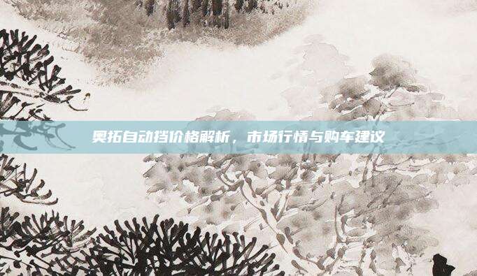 奥拓自动挡价格解析,市场行情与购车建议