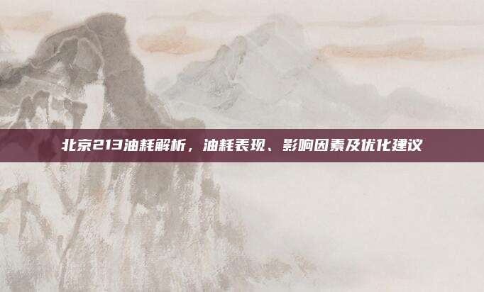 北京213油耗解析,油耗表现、影响因素及优化建议