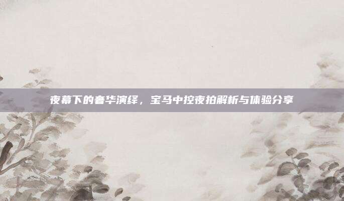 夜幕下的奢华演绎,宝马中控夜拍解析与体验分享