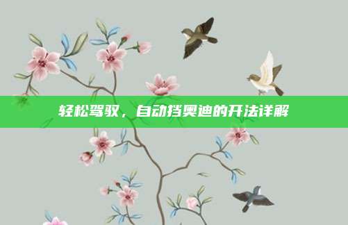 轻松驾驭,自动挡奥迪的开法详解