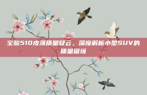 宝骏510皮薄质量疑云,深度解析小型SUV的质量困境