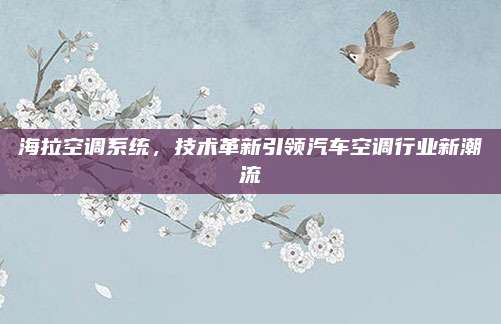 海拉空调系统,技术革新引领汽车空调行业新潮流