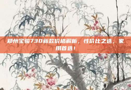 郑州宝骏730新款价格解析,性价比之选,家用首选!