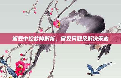 知豆中控故障解析,常见问题及解决策略