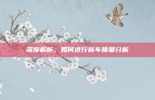 深度解析,如何进行新车质量分析
