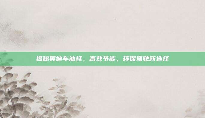 揭秘奥迪车油耗,高效节能,环保驾驶新选择