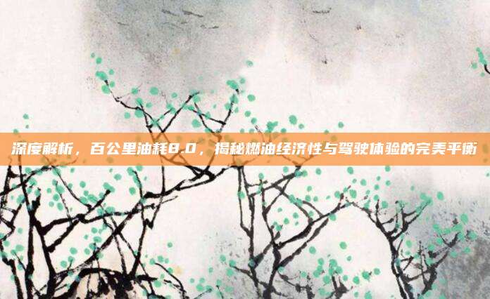 深度解析,百公里油耗8.0,揭秘燃油经济性与驾驶体验的完美平衡