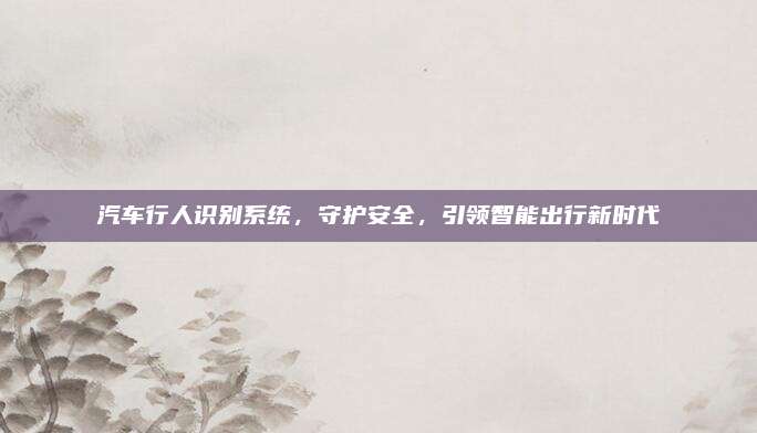 汽车行人识别系统,守护安全,引领智能出行新时代