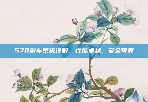 570刹车系统详解,性能卓越,安全可靠