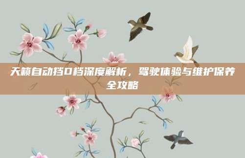天籁自动挡D档深度解析,驾驶体验与维护保养全攻略
