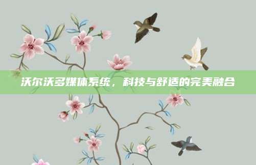 沃尔沃多媒体系统,科技与舒适的完美融合