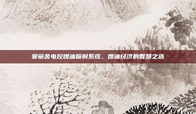 爱丽舍电控燃油喷射系统,燃油经济的智慧之选